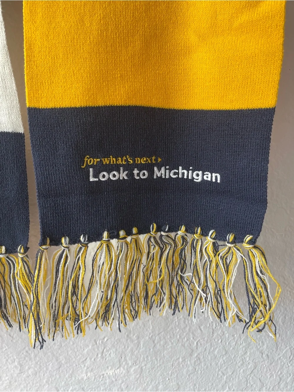 U of M Campaign Scarf